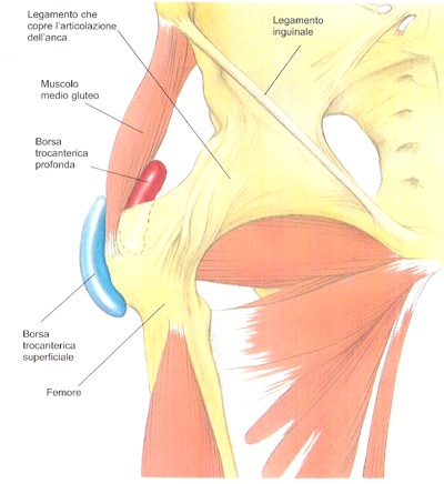 borsite trocanterica
